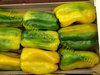 Gelber italienischer Riesen-Paprika 5 Samen