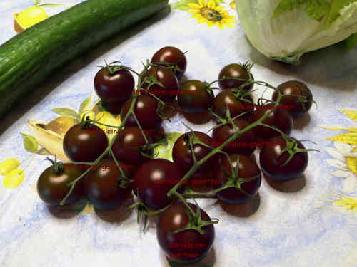 Tomate Black Cherry Kirschtomate 10 Samen