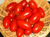 Tomate Principe Borghese Datteltomate 10 Samen