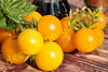 Tomate Goldene Königin 10 Samen