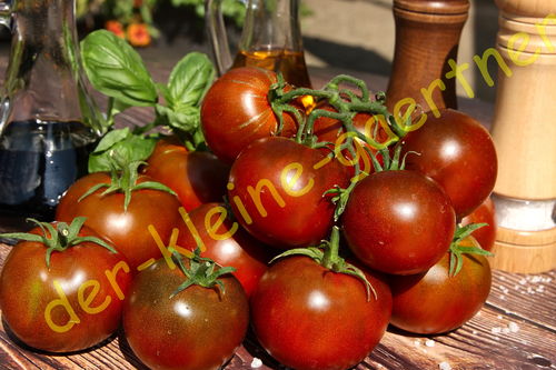 Tomate Black Krim 10 Samen