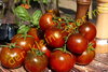 Tomate Black Krim 10 Samen