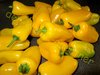 Gelber Mini Paprika / Snackpaprika 10 Samen