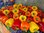 Bunter Paprika Mix 3 Farben 10 Samen