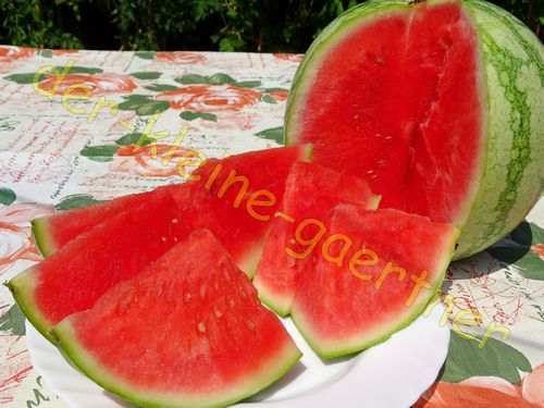 Wassermelone Sugar Baby Melone süß & saftig 10 Samen