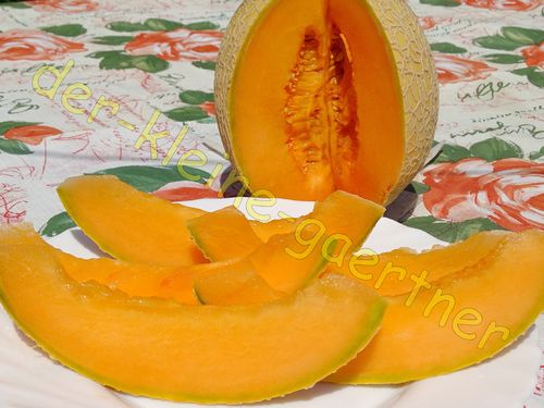 Cantaloupe-Melone Zuckermelone 10 Samen