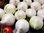 Weiße Gemüse-Zwiebeln De Vaugirard 100 Samen